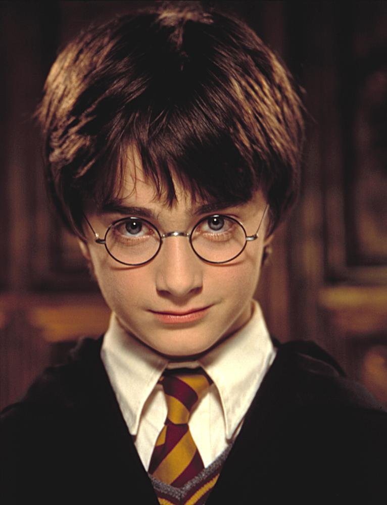 Harry Alt Text
